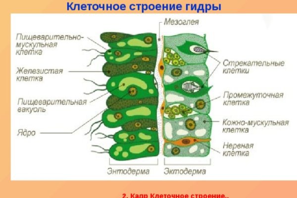 Ссылка кракен через тор