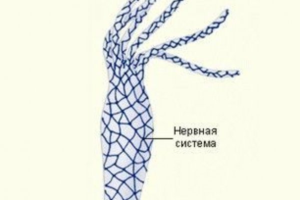 Ссылка на кракен 14ат